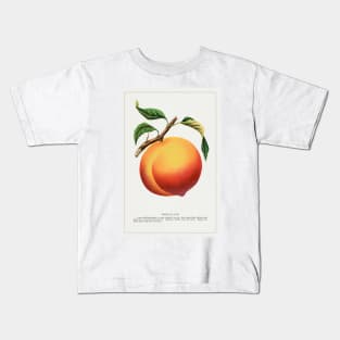 Wheatland peach lithograph (1900) Kids T-Shirt